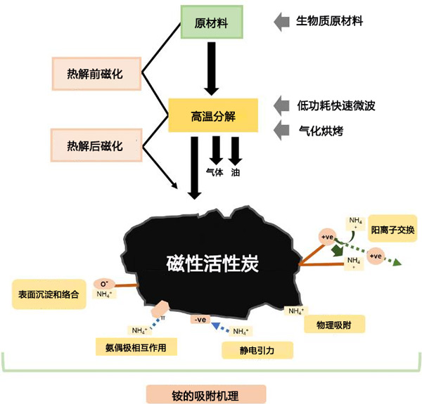 活性炭磁化后對土壤中銨的吸附