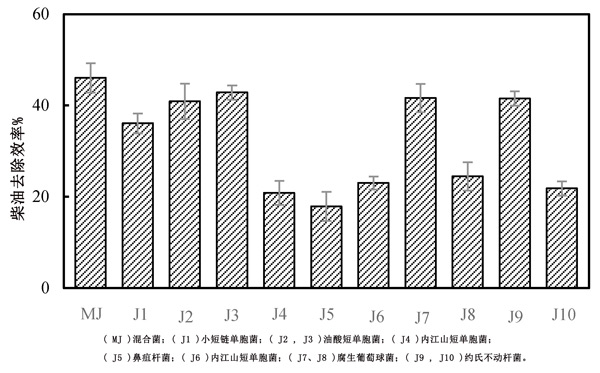 活性炭載菌吸附降解柴油廢水