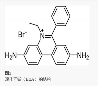 活性炭吸附溴化乙錠