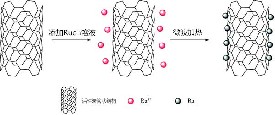 活性炭載釕催化獲得共軛亞油酸