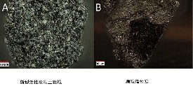 活性炭原位修復(fù)污染沉積物