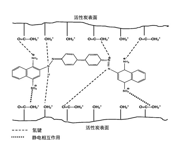 CR吸附到活性炭表面上的機理