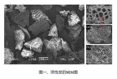 活性炭的顯微掃描圖像